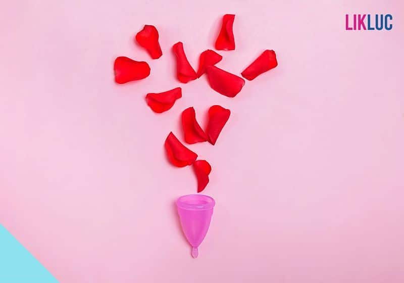 copinho coletor com petalas de rosa opt