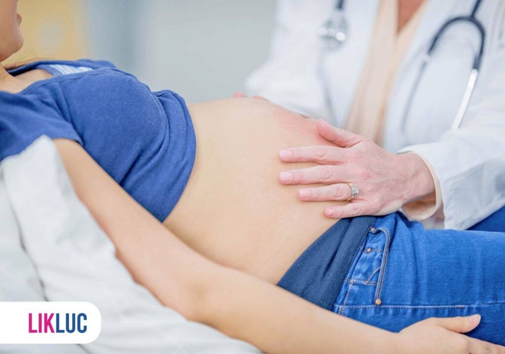 Médica examinando a barriga da gestante