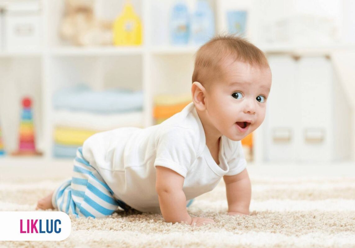 bebe engatinhando sem andar