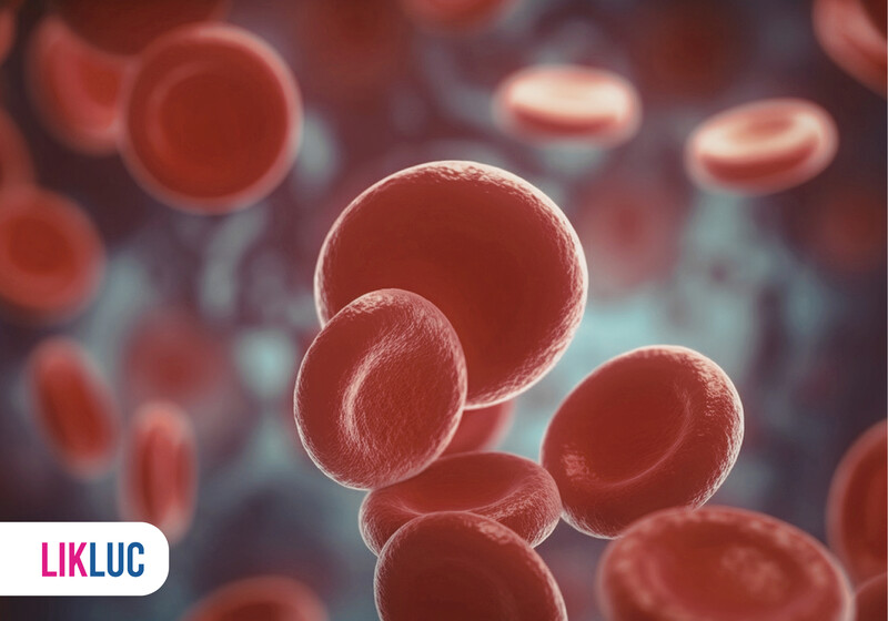 acae5829 346 Células vermelhas do sangue em foco