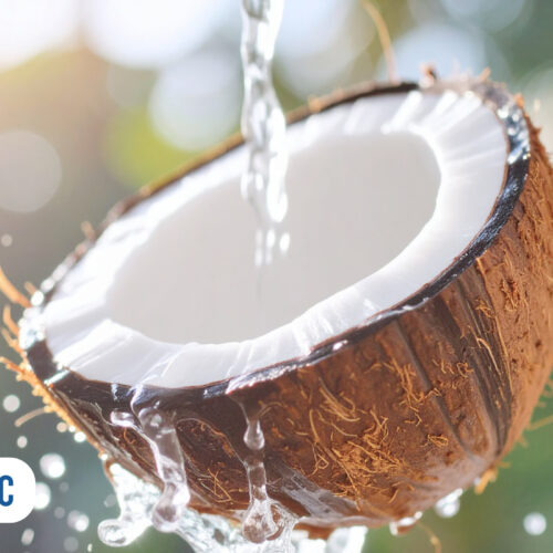 Coco fresco cortado com água escorrendo